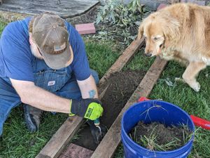 Constructing a catio for indoor cats